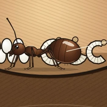 Close-up of the queen ant in Hanif’s Claude-generated animation